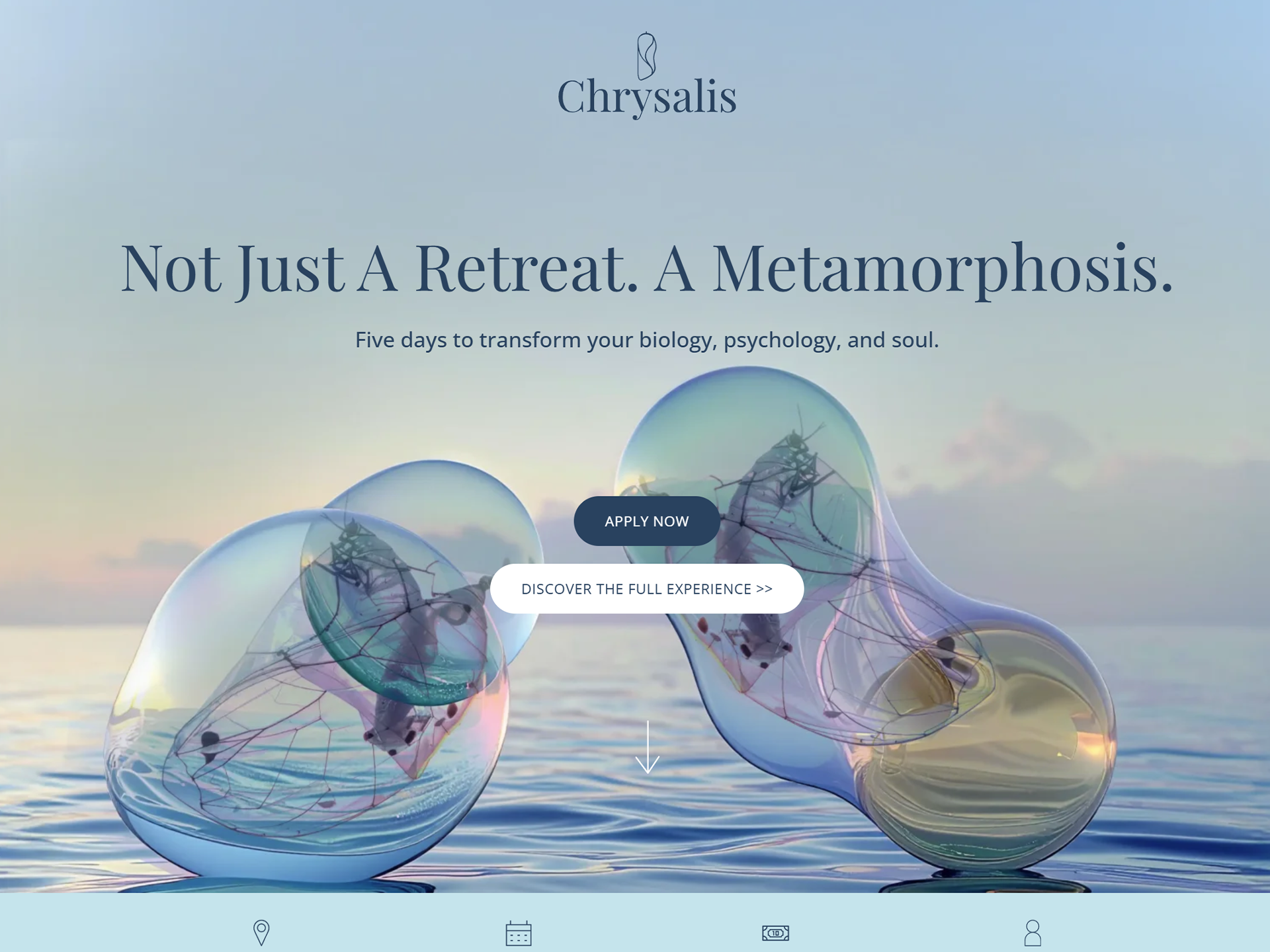 custom websites for small businesses